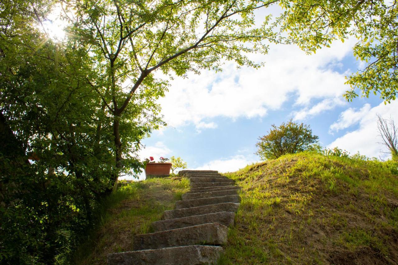 Ca' Noeva Bed & Breakfast Valverde  Exterior photo